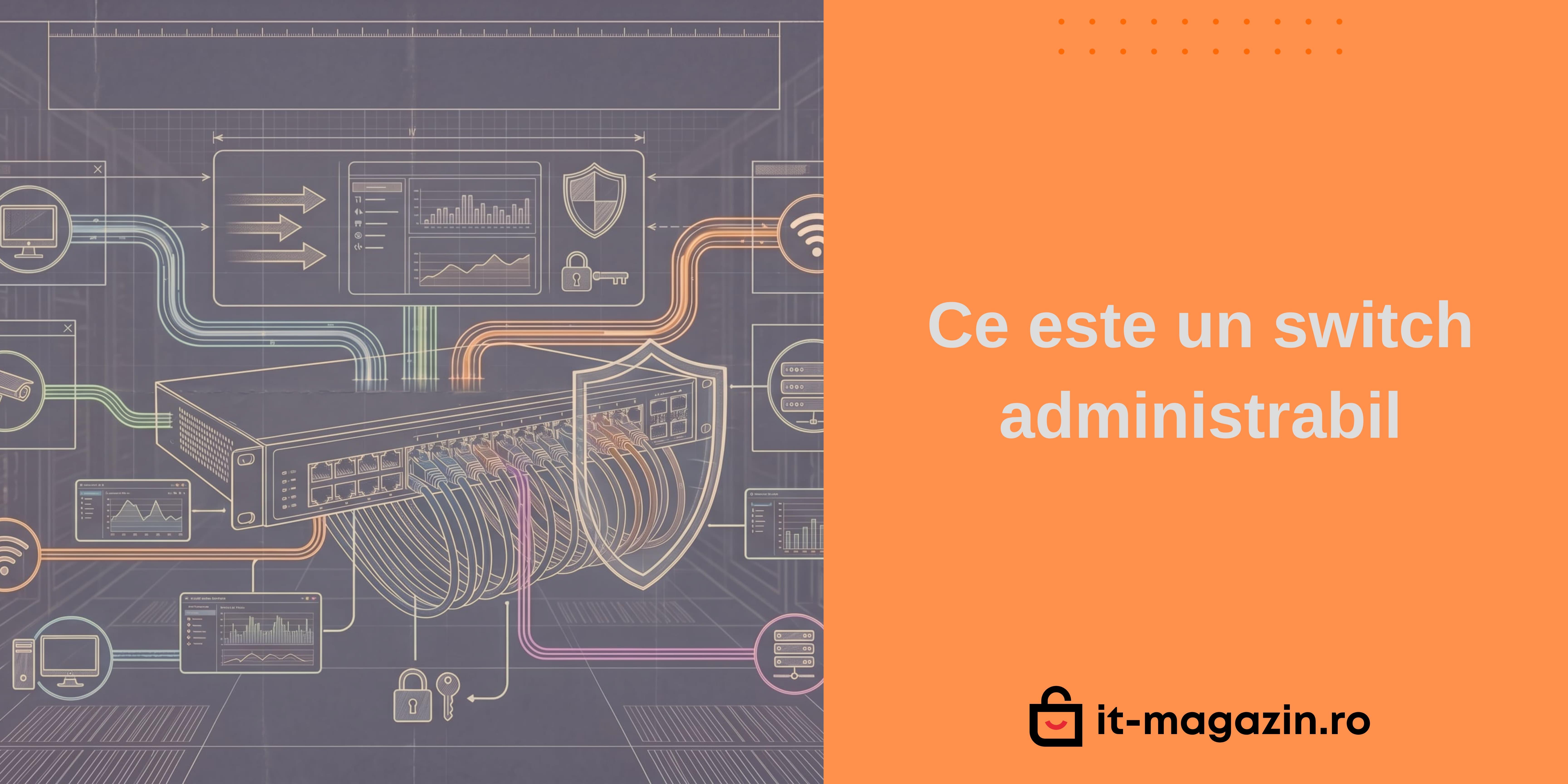 Ce este un switch administrabil?