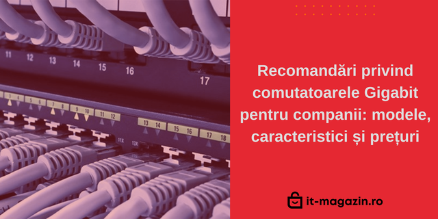 Recomandări privind comutatoarele Gigabit pentru companii: modele, caracteristici și prețuri